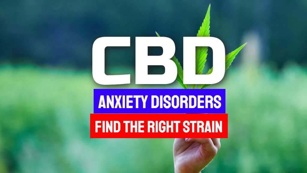 CBD And Anxiety Disorders – Find The Right Strain For You