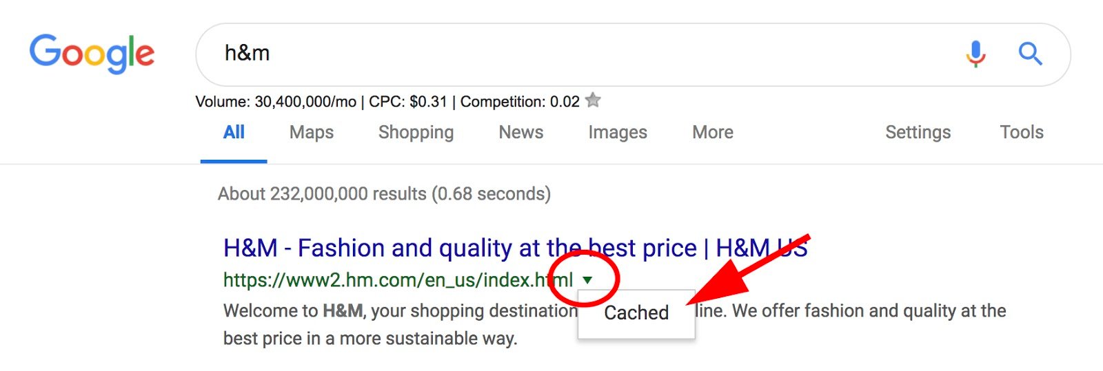 Cached dropdown underneath arrow next to SERP URL