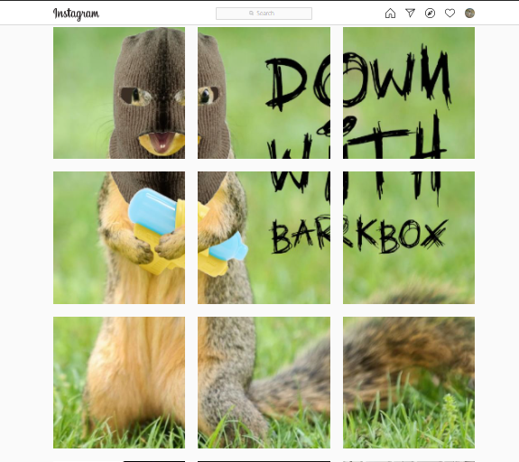 BarkBox Instagram Memes for Marketing Squirrels vs. Dogs