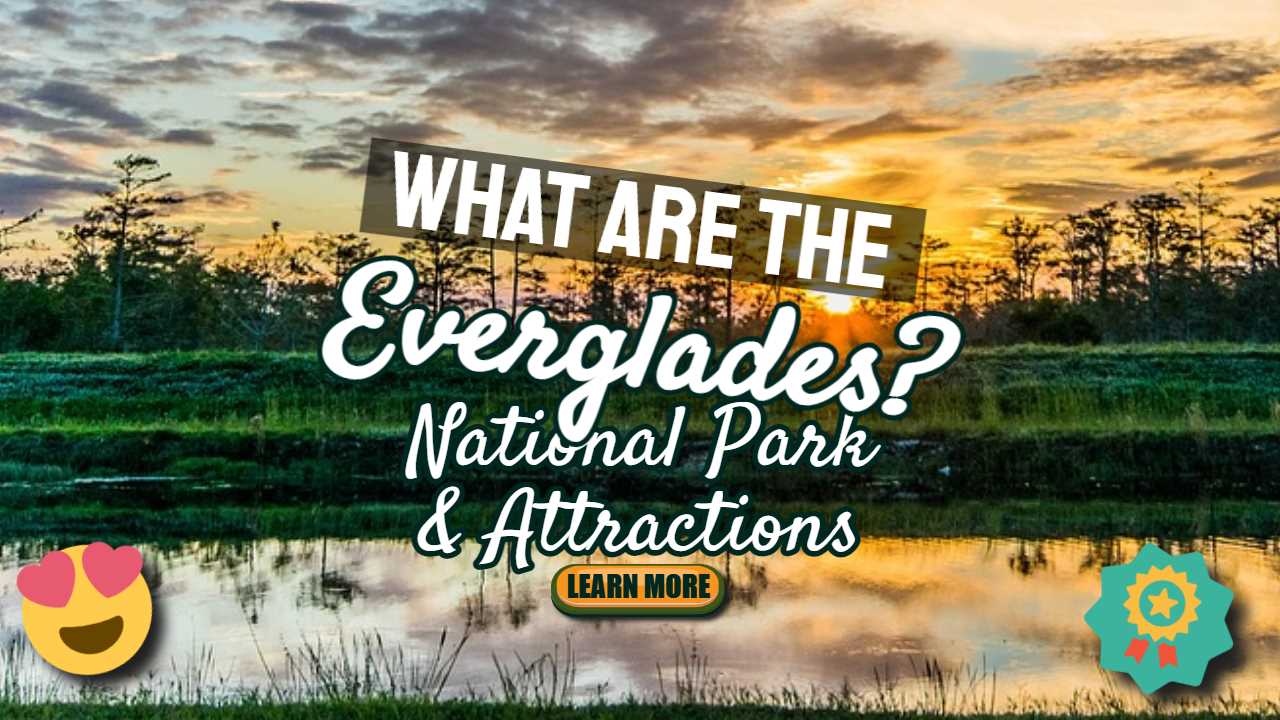 What are the Everglades? The National Park and Attractions