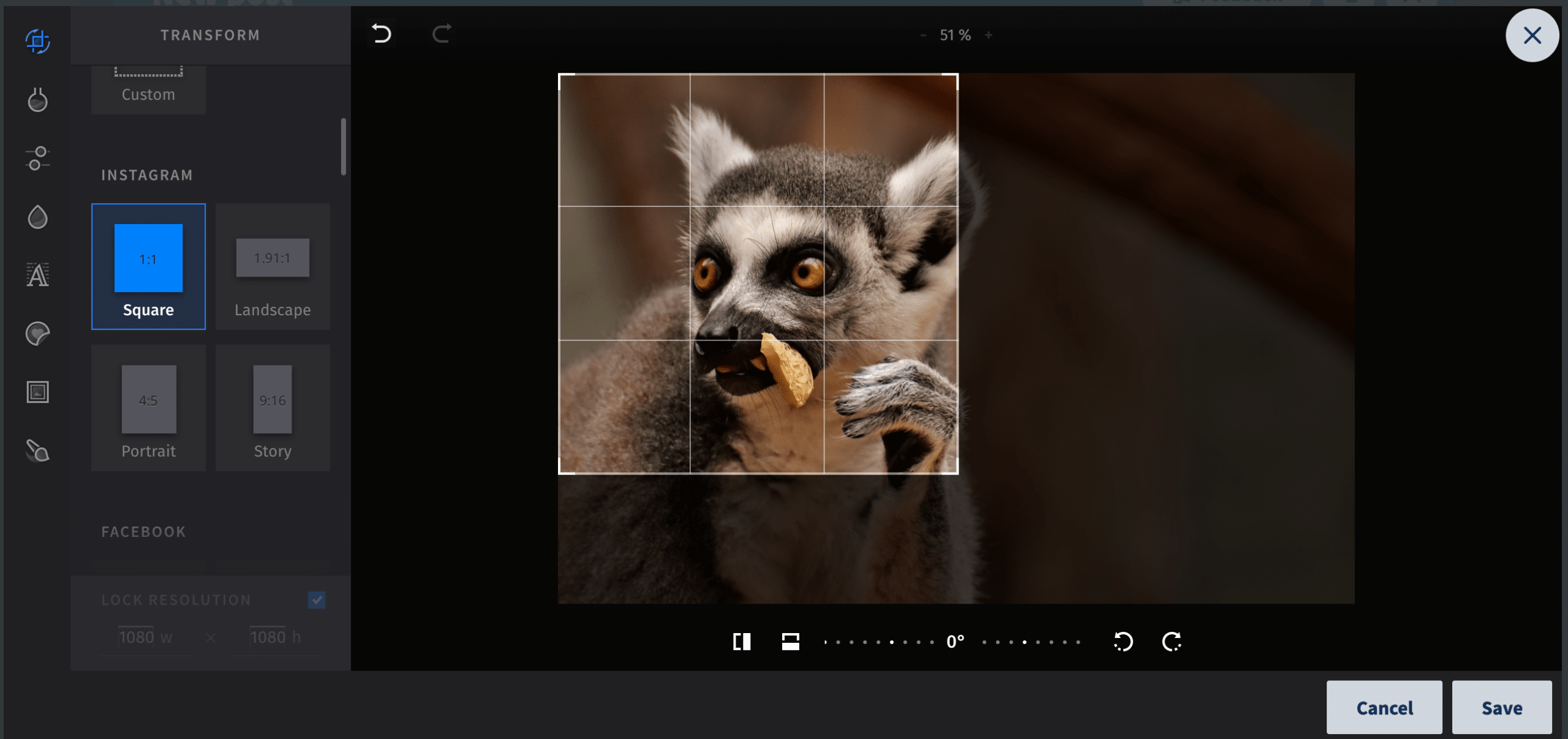 up close shot of a lemur