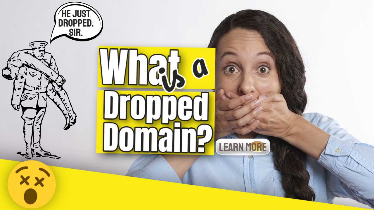 What is a Dropped Domain? Expired Domain Questions Explained