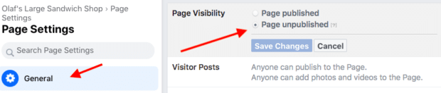 page settings including visibility and