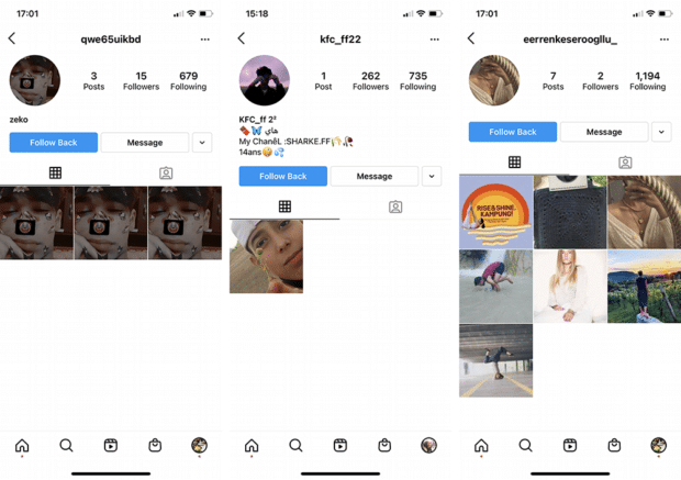 fake followers on Instagram examples