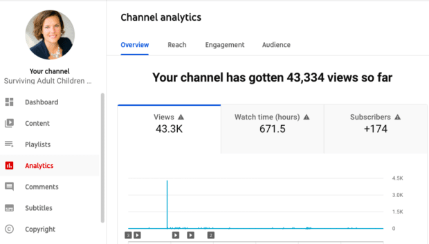 channel analytics overview