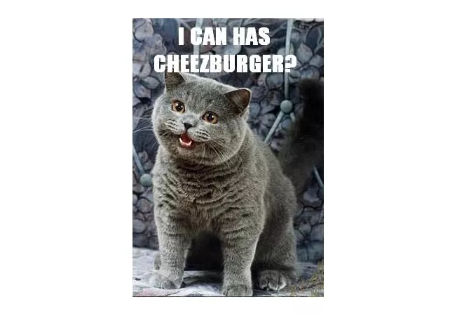 how to go viral - i can has cheezburger meme