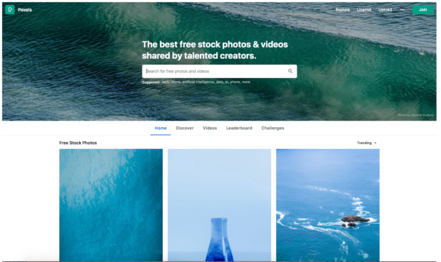 pexels best free stock photos and videos shared by creators