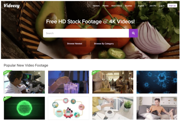 videezy free stock video site