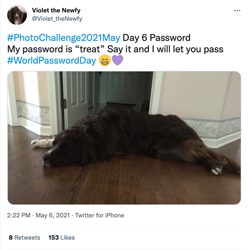 violet the Newfy world password day social media holiday tweet