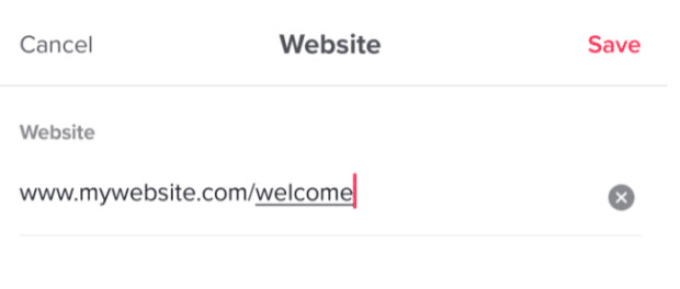 enter URL under website