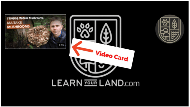 Learn Your Land clickable video card on end screen