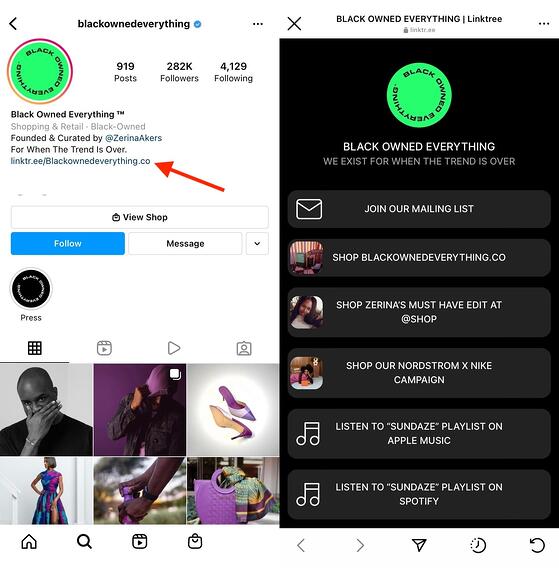example of a linktree in Instagram profile: black owned everything