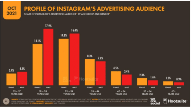 profile of Instagram's advertising audience