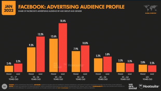 Facebook advertising audience profile