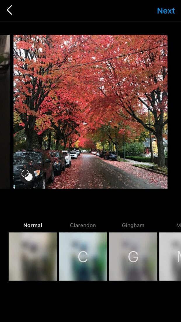 Editing individual Instagram photos in a carousel (fall leaves)