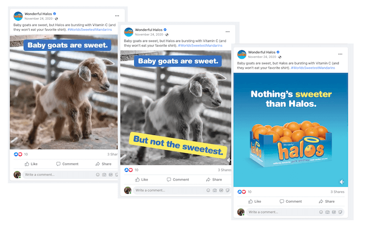 engaging facebook post ideas - cuteness overload post example
