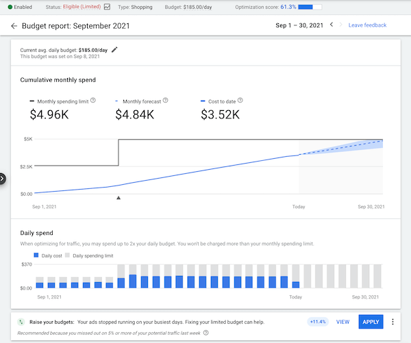 how to run google ads - screenshot of a google ads budget report insights