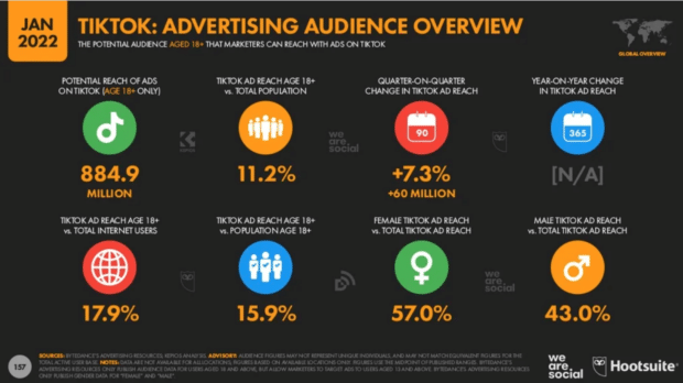 TikTok advertising audience overview