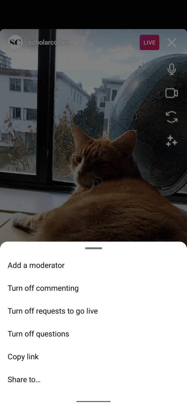 turn off comments