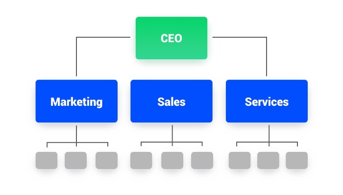 Types of Marketing Organizational Structures - Functional Marketing Organizational Structure