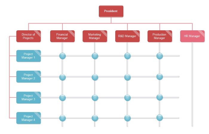Types of Marketing Organizational Structures - Hybrid Marketing Organizational Structure