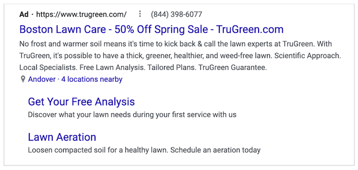 target audience example - trugreen targeting new england with google ads