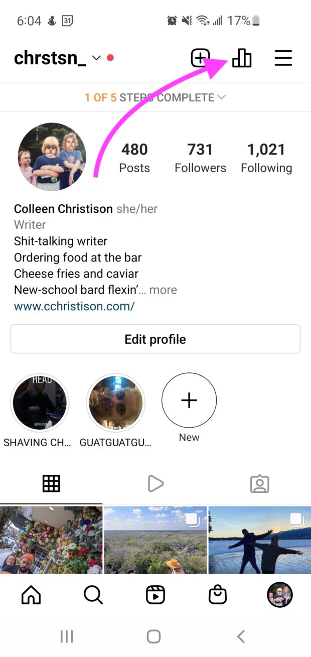 Instagram profile view with insights bar graph icon