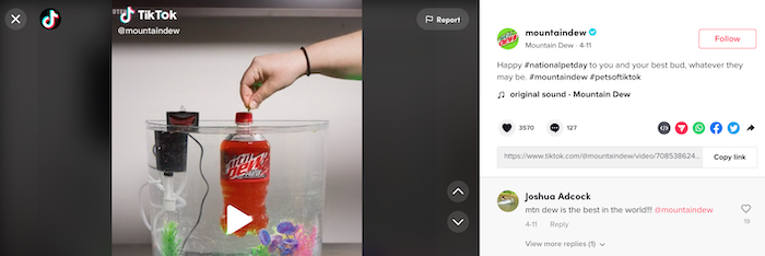 TikTok Ads How to Use Popular Hashtags Mountain Dew Ad