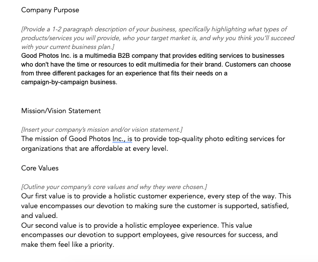 Company description example