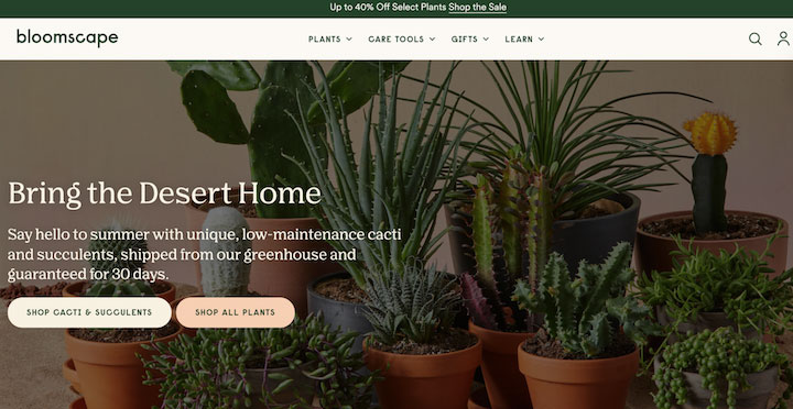 color psychology marketing - bloomscape's warm green homepage