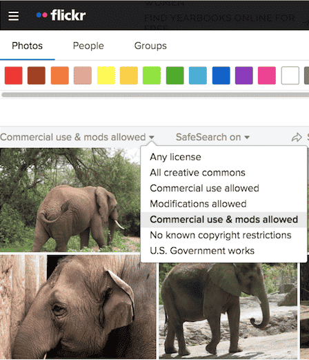 Flickr search photos by appropriate licenses