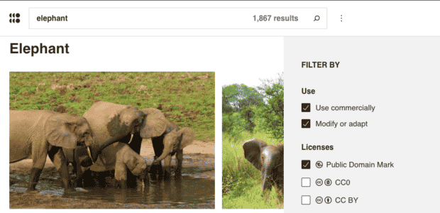 Openverse elephant openly licensed media