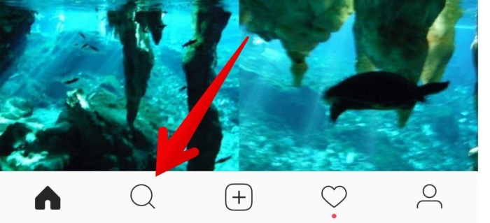 An image of the Instagram action bar, with an arrow pointing to the search button.