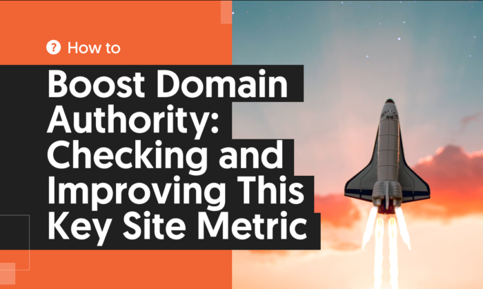 How to Boost Domain Authority Checking and Improving This Key Site Metric