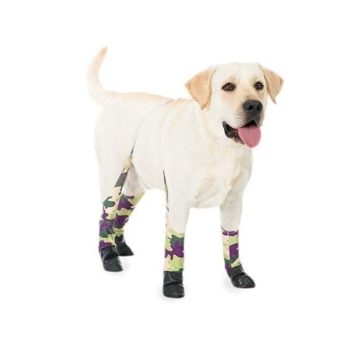 A dog wearing leggings from Walkee Paws.