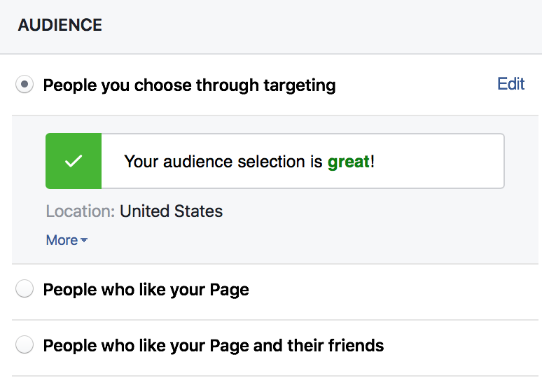 The choose your audience function of Facebook Ads