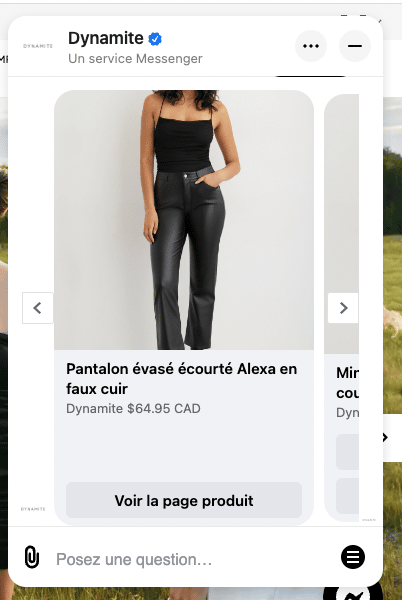Chatbot on Dynamite's website showing options for black pants in French
