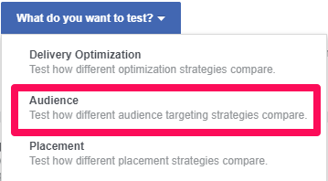Select the audience option for this custom audience test on Facebook.