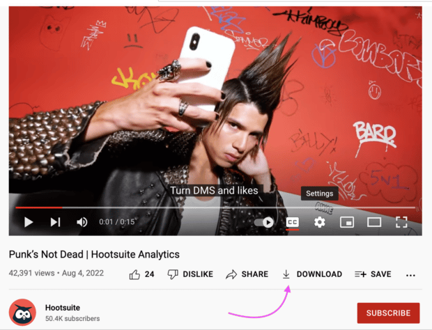 Punk's not dead Hootsuite Analytics download video