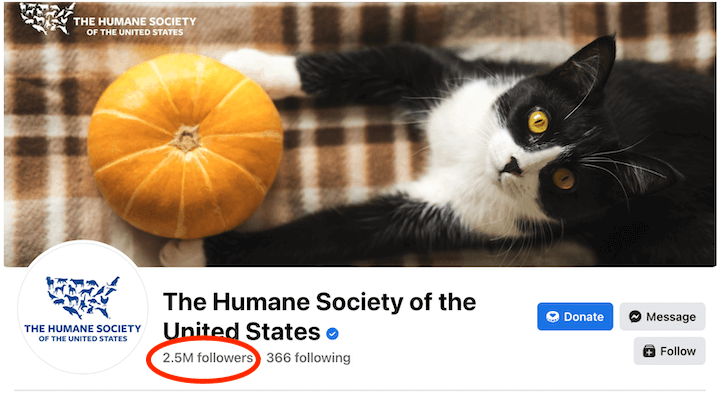 how to optimize facebook ads - humane society's facebook page with follower count
