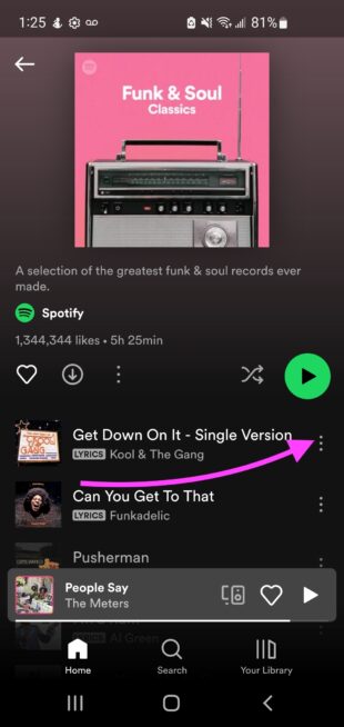 vertical ellipsis icon Spotify playlist