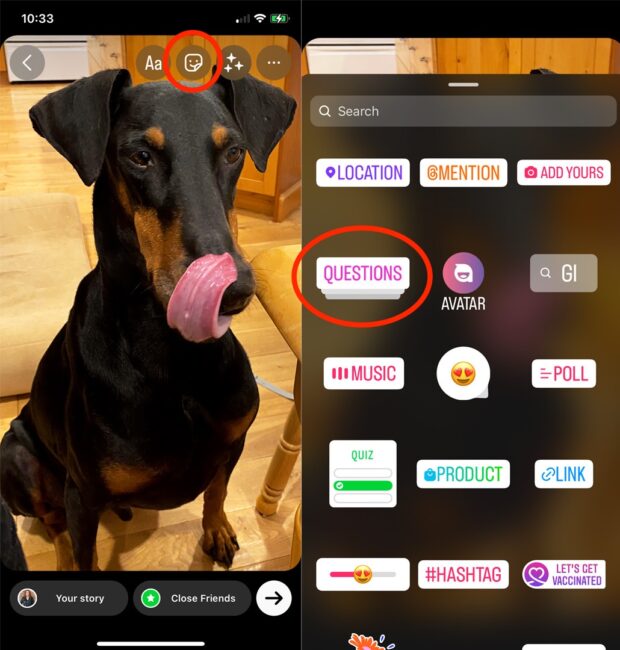 add question sticker to photo of dog