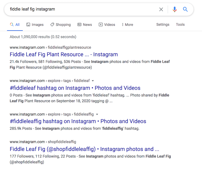 Instagram SEO Google results for fiddle leaf fig Instagram