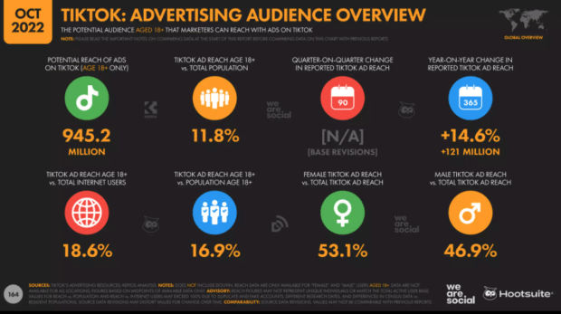 TikTok advertising audience overview