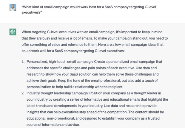 ChatGPT prompt asking for the best types of email campaigns for a SaaS company targeting C-level executives