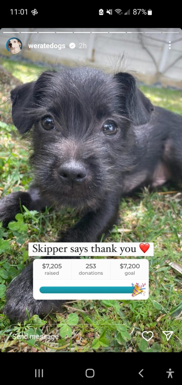 We rate dogs follow up and donation goal