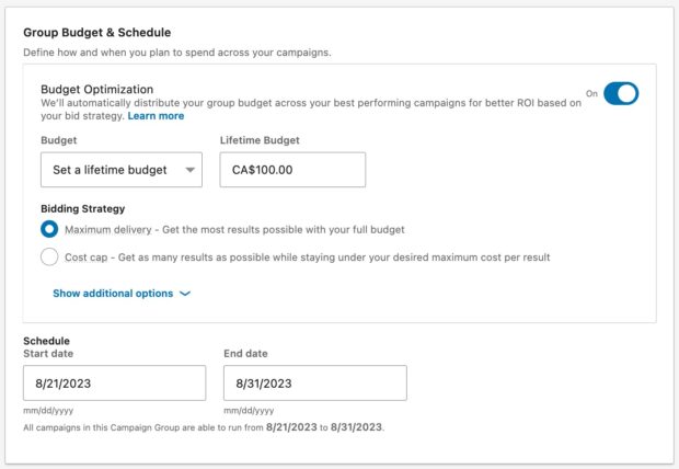 Budgeting an ad campaign on LinkedIn