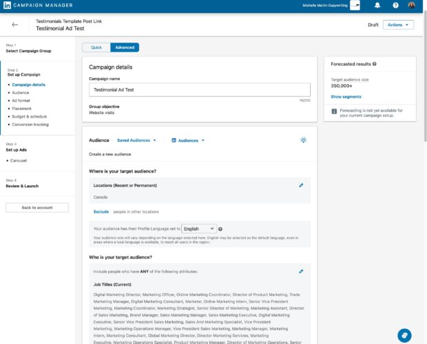 LinkedIn Campaign Manager adjust ad targeting under audience