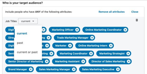 job title targeting current or past