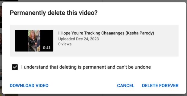 Permanently delete video check box